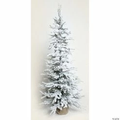 Flash Sale 👍 Melrose International 4'H Flocked Tree with Burlap Base 👏