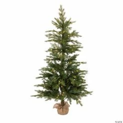 Discount 🎁 Melrose International LED Pine Tree in Burlap, 5 Feet 😀