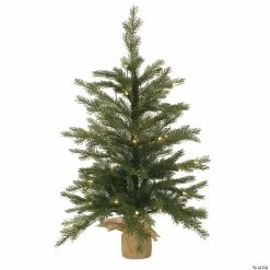 Discount π Melrose International Pine Tree in Burlap, 3 Feet π